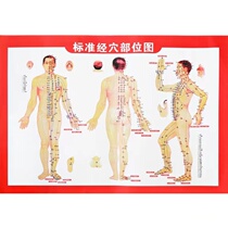 Human body meridian acupoint map hand and foot acupoint color map