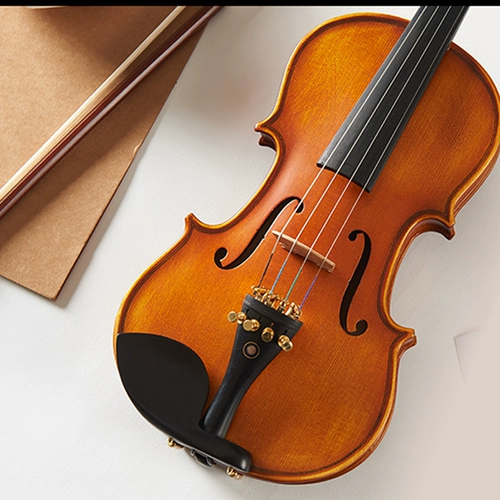 Десяти -летящий магазин шесть цветов, столовая настольная оценка скрипки вручную из твердой древесины -