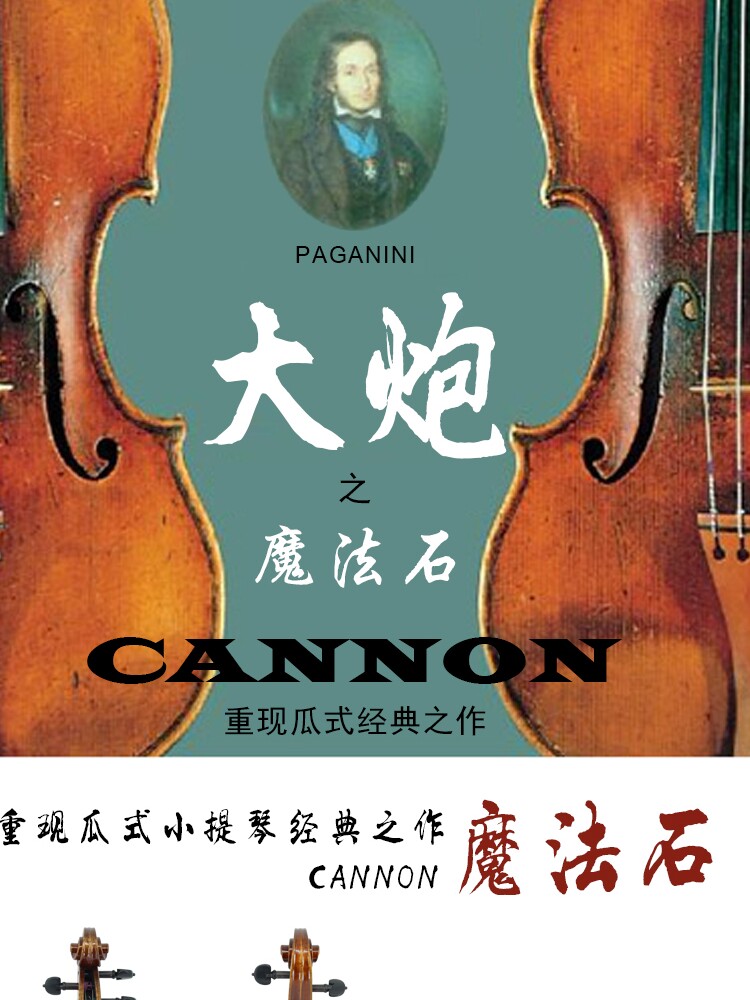 Taiwan's popular imported European material Guanelli professional-grade solo fir maple wood adult handmade violin