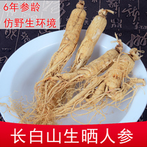 Northeast Changbai Mountain Natural Ginseng Whole Roots Sun-dried Ginseng White Ginseng 100g Can Water