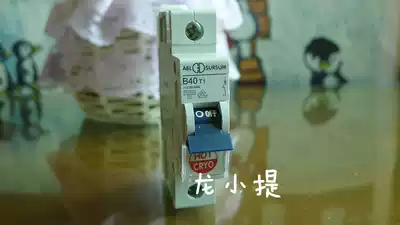 German original T series ABL ice fire frozen version MCB 1P 40A MCB air switch