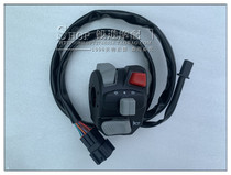 BJ750-6 juvenile lion 800 left and right switch with backlight handlebar headlights horn turn signal combination switch