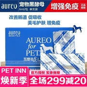 PET INN Nhật Bản Aureo Black Yeast Pet Dinh dưỡng Chó, Chó, Chó, Miễn dịch tiêu hóa da 6ml Gói đơn - Cat / Dog Health bổ sung