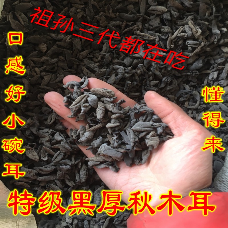 New Chief Baishan Special Class of Autumoo Montenegro High Quality Bowl of Ear and Black Mouse with a rootless 500g