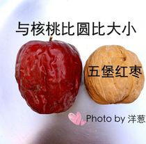 Our 2021 Xinjiang specialty dried fruit red jujube Hami jujube Wubao jujube 500g