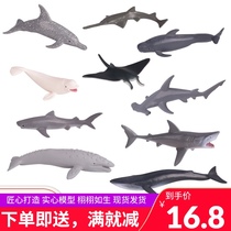 Childrens gift solid simulation mini ocean model toy whale shark great white shark Megalodon dolphin model