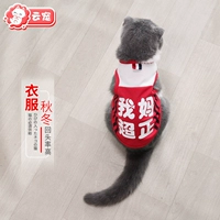 Летний тонкий милый комфортный шнурок-держатель, популярно в интернете