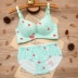 Một mảnh liền mạch không có vành nhỏ áo ngực tập hợp in áo ngực gợi cảm thiết lập ít phụ nữ dày phần bikini đi biển đẹp 2021 Bộ đồ lót