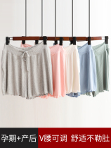 Pregnant Woman Beats Bottom Pants Safety Pants During Pregnancy Shorts Fashion Outside Wearing Thin modale Non pure cotton Anti-light summer