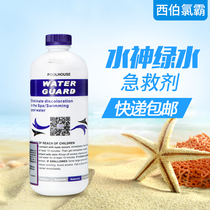 Siberchlor pool water god green water emergency agent water quality color change turbidity treatment agent coloring water body first aid agent