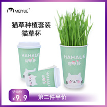 Cat grass planting with bottled water bacon mint kitty snacks Stuffed Cat Grass Seed Potted Milk Tea Cat Grass Cup