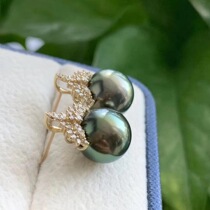 Ice Queen natural sea water Tahitian black pearl quality earrings 18k gold peacock green stud earrings small bulb