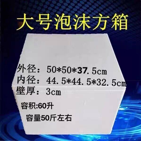 Large square foam box 40kg 50kg fruit fresh square box food grade steamed buns cooked food incubator