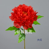 Большой красный