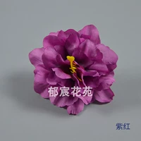 Пурпурная красная цена