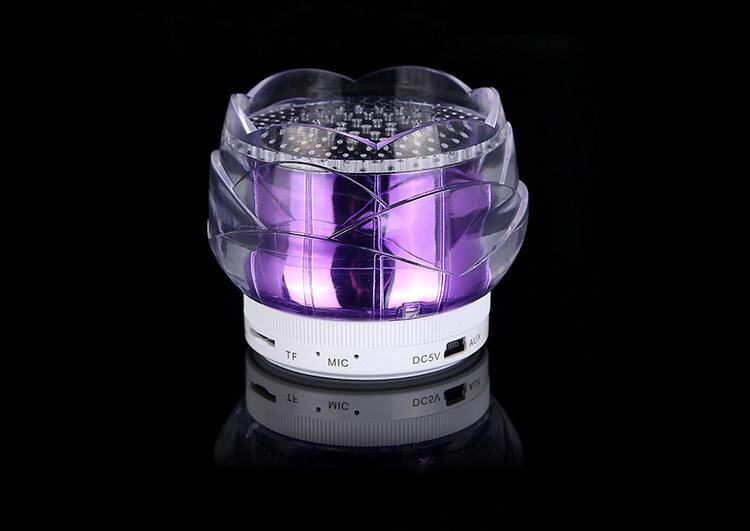 Haut-parleurs portables HUAXIN - Ref 2270983 Image 10