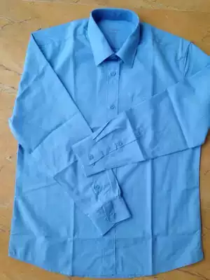 New blue shirt long sleeve shirt top office work clothes men's business no ironing spring and autumn