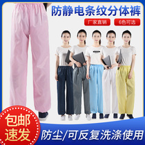 Dust-free pants anti-static split pants work pants single pants striped pants grid pants blue and white pink pants