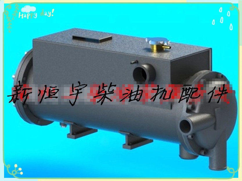 Weichai Steyr WD615 WD618 diesel engine Sea fresh water heat exchanger accessories Engine 
