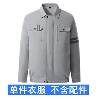 Серый [одиночная одежда без аксессуаров]