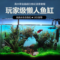 Jinjing ultra-white right-angle glass fish tank living room small ecological water grass landscaping fish tank living plant ecological fish tank