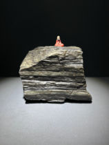 Mazong Mountain petrified jade petrified wood fossil raw stone natural Gobi stone shape pictographic landscape ornamental stone