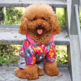 Демисезонный пуховик, летняя кукла, осенний сезон, кошки и собаки, домашний питомец