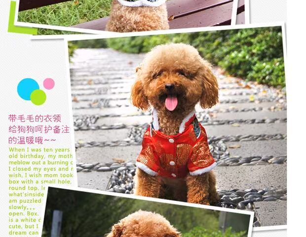 Quần áo chó nhỏ Chó Teddy hơn Xiong Quần áo VIP vật nuôi quần áo mùa xuân, mùa hè và mùa thu mặc quần áo chó nhỏ chó bông quần áo - Quần áo & phụ kiện thú cưng áo cho thú cưng