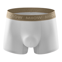 Catman Modal mens underwear boys mulberry silk antibacterial boxer shorts mens loose breathable boxer briefs