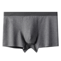 Catman Mens Underwear Boys Pure Cotton Boxer Shorts Antibacterial Breathable Mens Loose Sports Boxer Briefs Youth