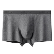 Catman Mens Underwear Boys 2024 New Cotton Boxer Shorts Antibacterial Breathable Mens Loose Boxer Briefs