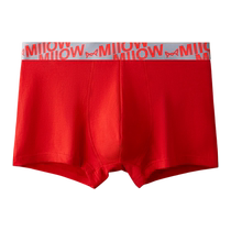 Cat mans zodiac year mens underwear boys boxer shorts pure cotton antibacterial big red gift zodiac dragon boxer briefs