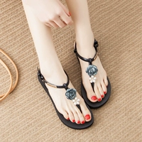 TXE-0025 Корейская версия светло-голубого цветка