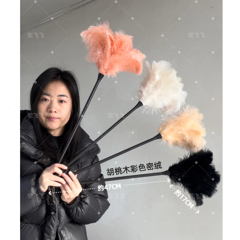 Feather Duster with Ostrich Feathers and Walnut Wood Handle, Electrostatic Dust Removal Duster for Home, Car, Desktop Decoration