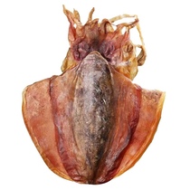 Lightly dried cuttlefish