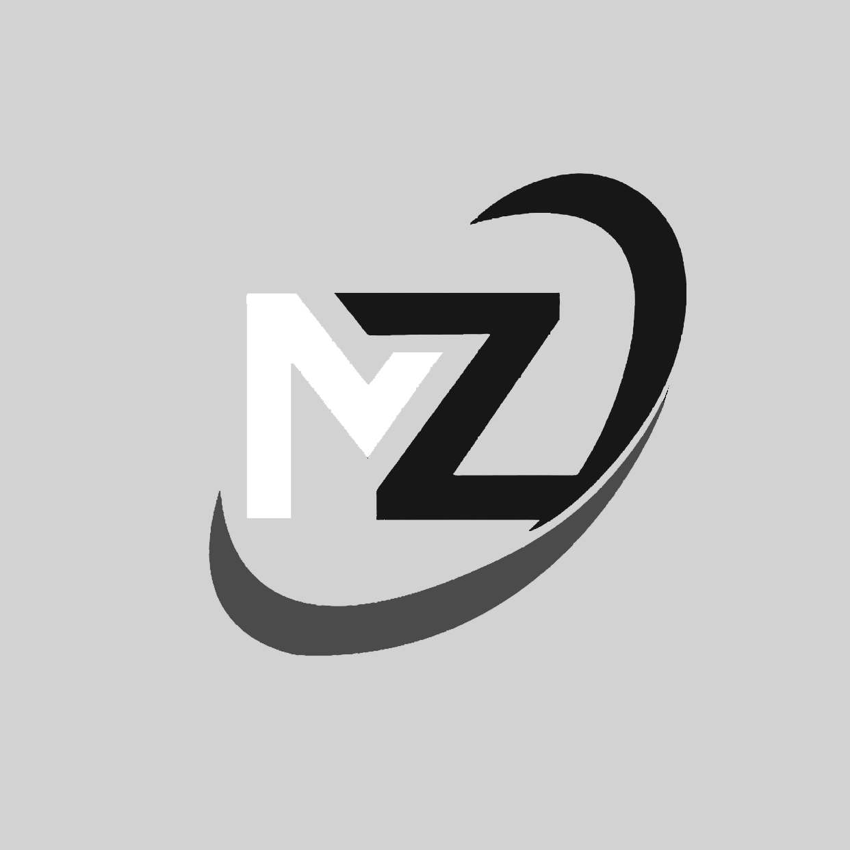 MZ网络工作室