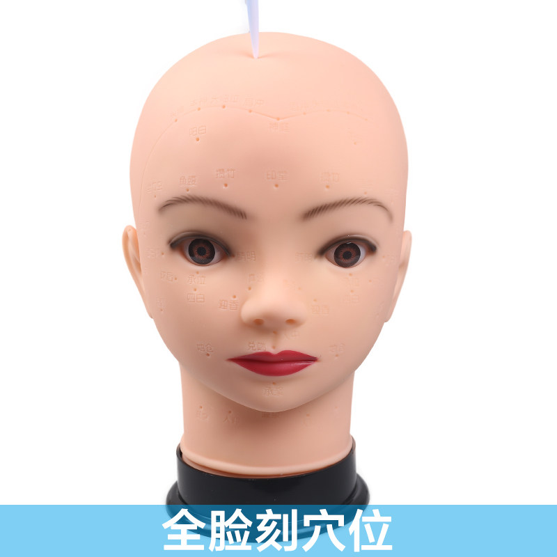 Head Model of the Head of the Handle Head Model of the Face Acupuncture Massage Model