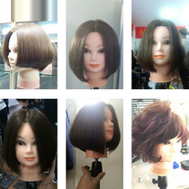Hair practice Hair cutting model head Hair cutting special doll head hair cutting head model dummy head model real hair cutting