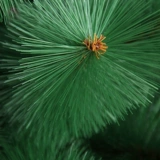 Рождество 1,5 метра-3 метра сосновая игла рождественская елка шифрование роскошное сосновое дерево