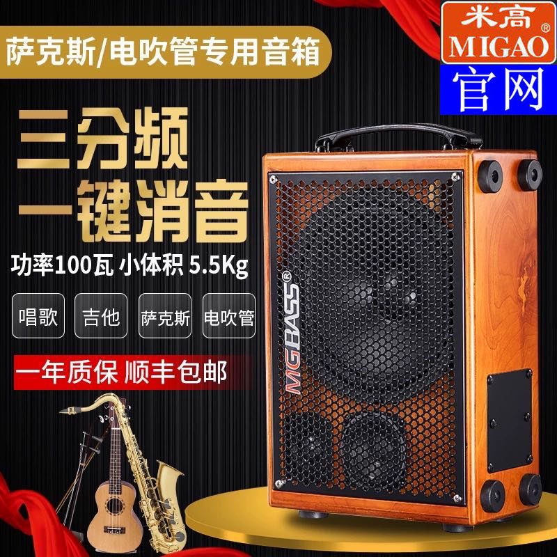 Michael MGT3 Outdoor 2 Husax Electric Tube dedicated guitar playing singing in the live speaker