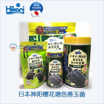 HIKARI high-strength jade fungus 550G Japanese original semi-aquatic turtle regulates gastrointestinal health boxgrass Brazilian turtle