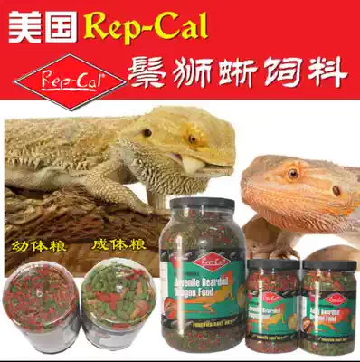 Juvenile Mane lizard lion food feed vegetarian original barrel split bucket American original REPCAL