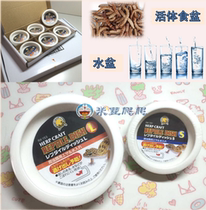 Japanese SUDO reptile palace guard lizard spider live feed special anti-escape food basin water basin