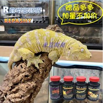 Eyelash gecko fruit insect feed food giant mango banana puree American REPASHY