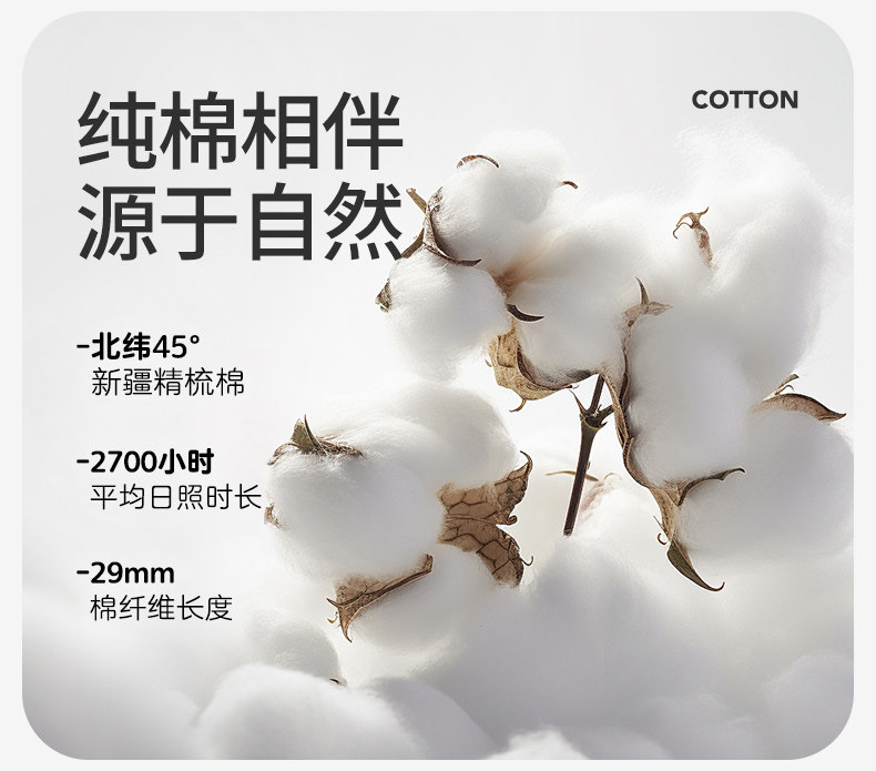 2024 Зима Лайкра Хлопок_06.jpg