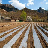 Сельскохозяйственный утепленный защитный увлажняющий прозрачный пластиковый термос