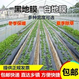 Сельскохозяйственный утепленный защитный увлажняющий прозрачный пластиковый термос