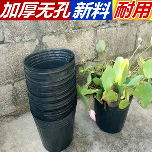 Лотос лотос лотос гидропонный спецификация питания