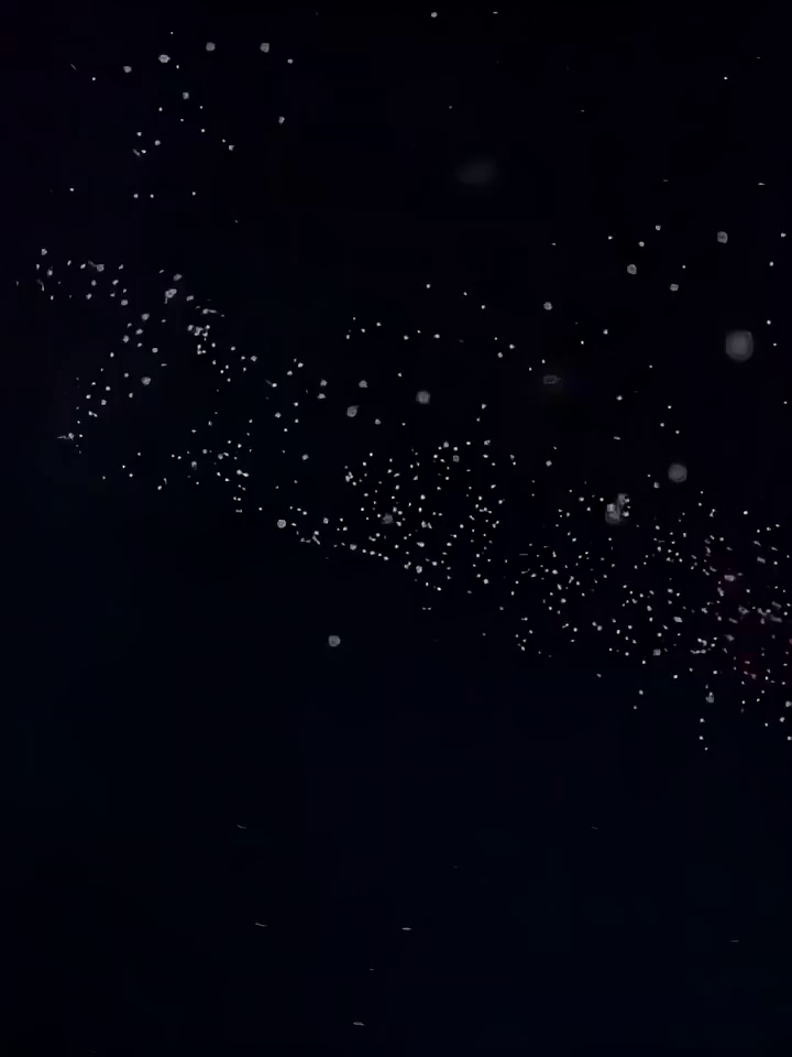 55块买原装硒鼓。这个波是打工人的终极省钱密码。