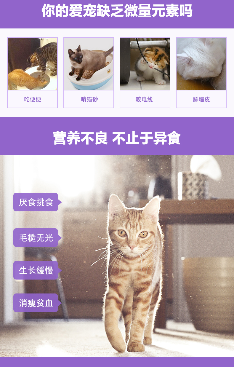 Wei Shizhen micro-chelating cat yếu tố vi lượng đặc biệt mèo thực phẩm kỳ lạ 癖 mèo với vitamin tổng hợp 200 viên - Cat / Dog Health bổ sung sữa bột cho mèo sơ sinh	